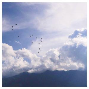 女警少妇被献身av麻豆
