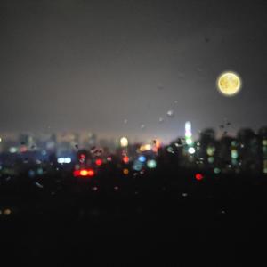 女警少妇被献身av麻豆
