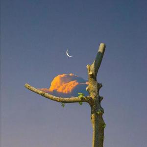 女警少妇被献身av麻豆
