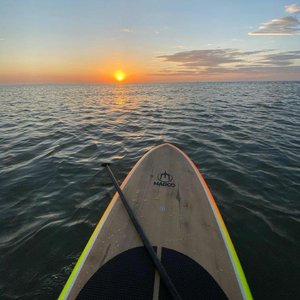 女警少妇被献身av麻豆
