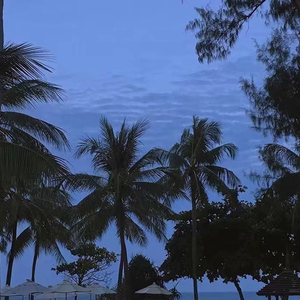 女警少妇被献身av麻豆
