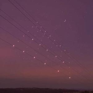 女警少妇被献身av麻豆
